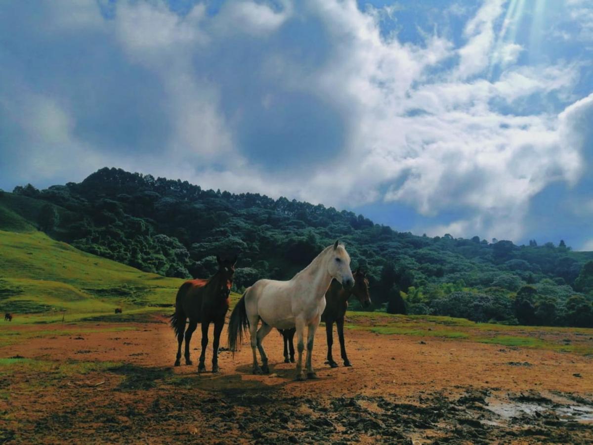 Finca Recreacional Marcelandia Санта Роса де Кабал Екстериор снимка